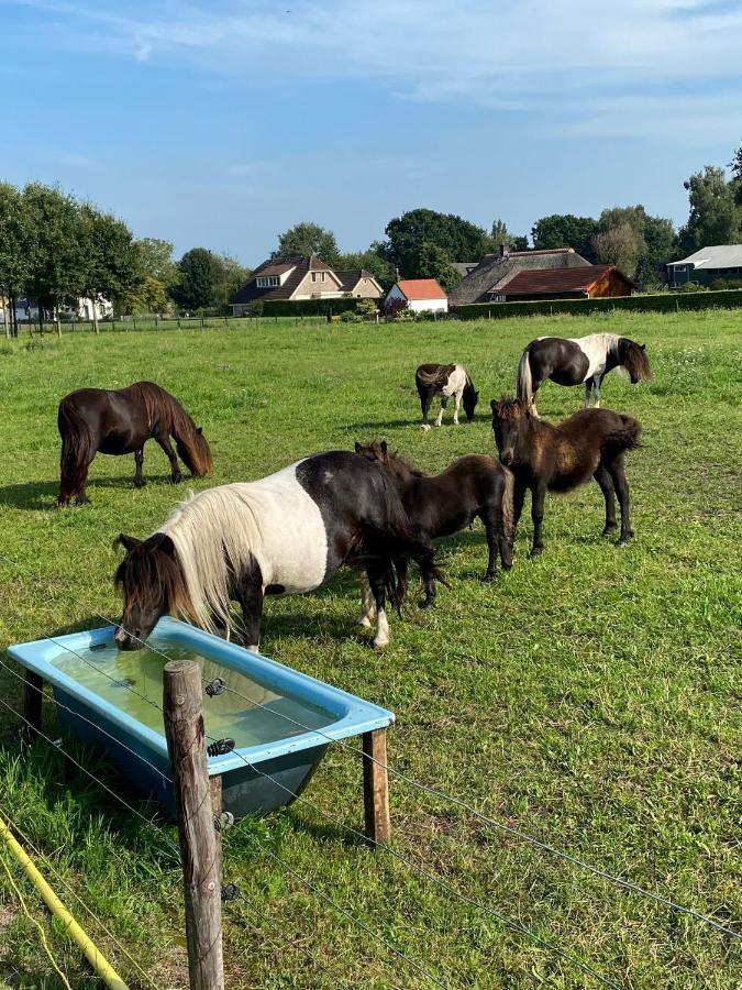 La Vita Veluwe Wapenveld 외부 사진