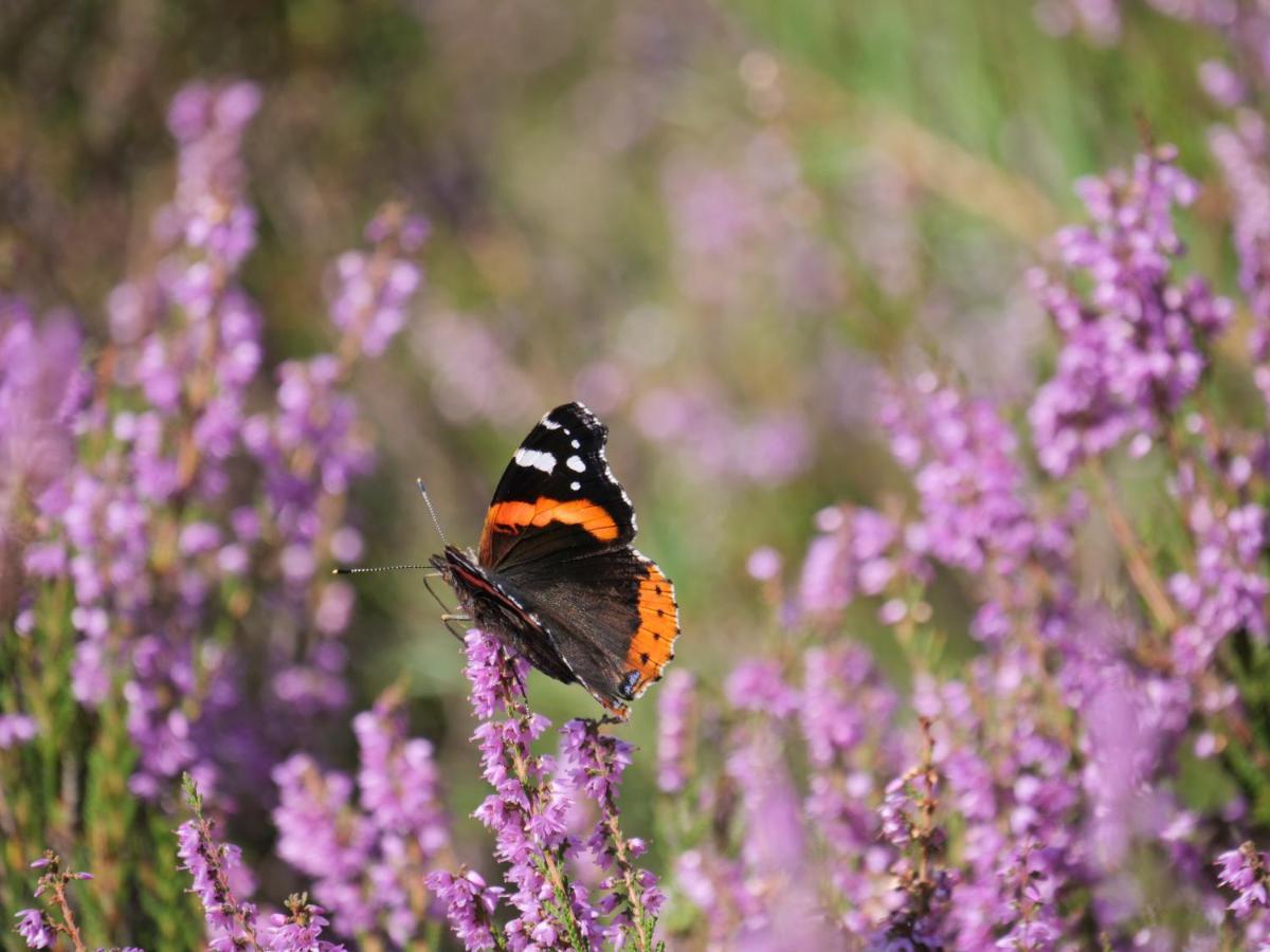La Vita Veluwe Wapenveld 외부 사진