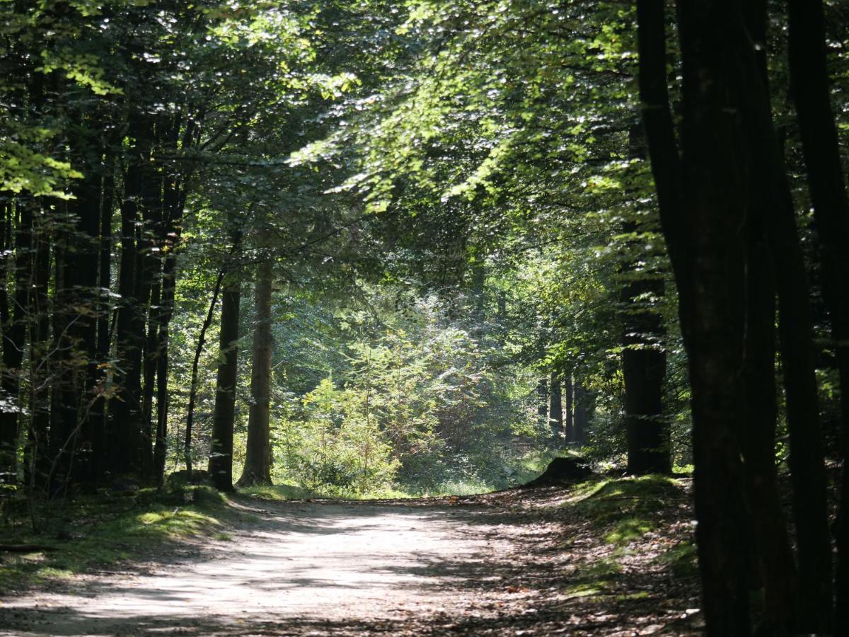 La Vita Veluwe Wapenveld 외부 사진
